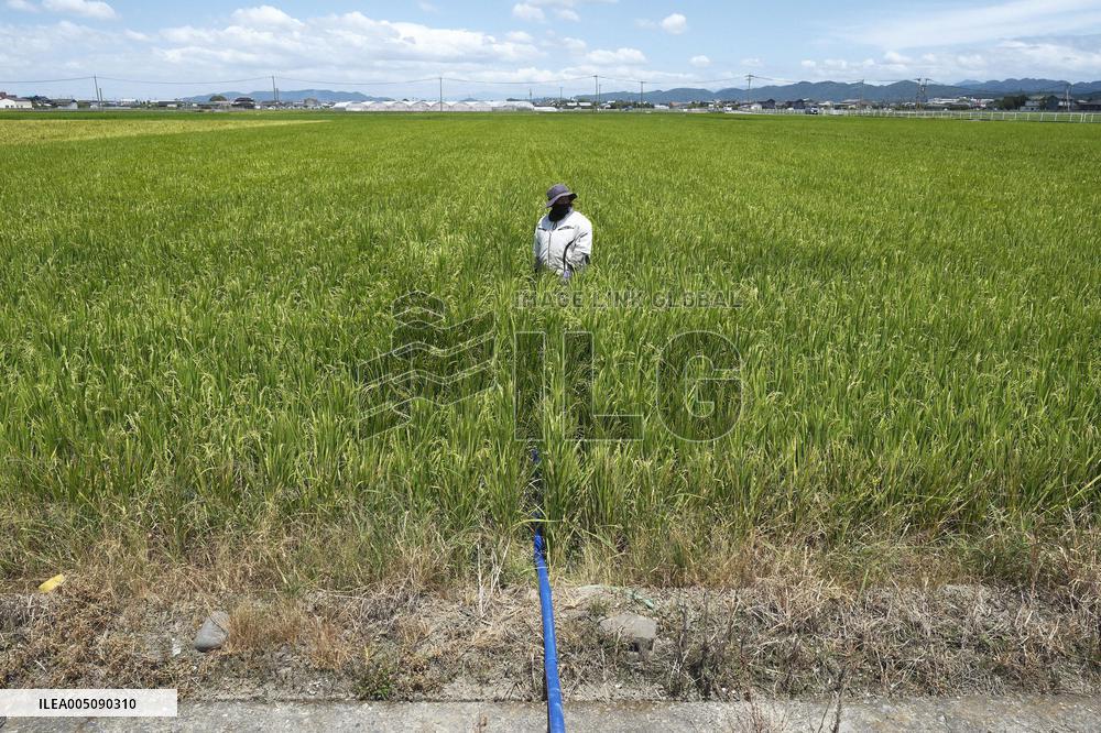 Aftermath of strong earthquake in Kumamoto