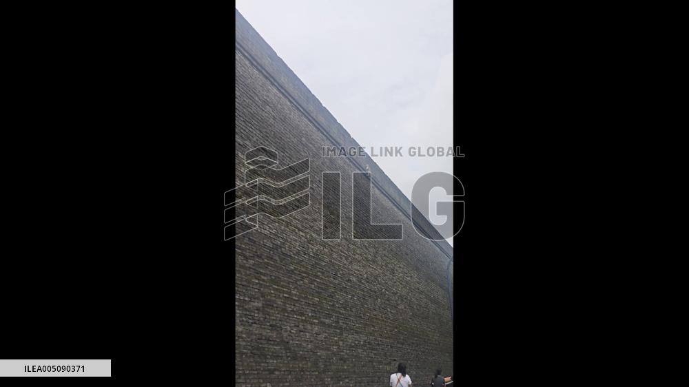 China: Cat Climbs Ancient Xi’an City Wall, Rescued With Bedsheet