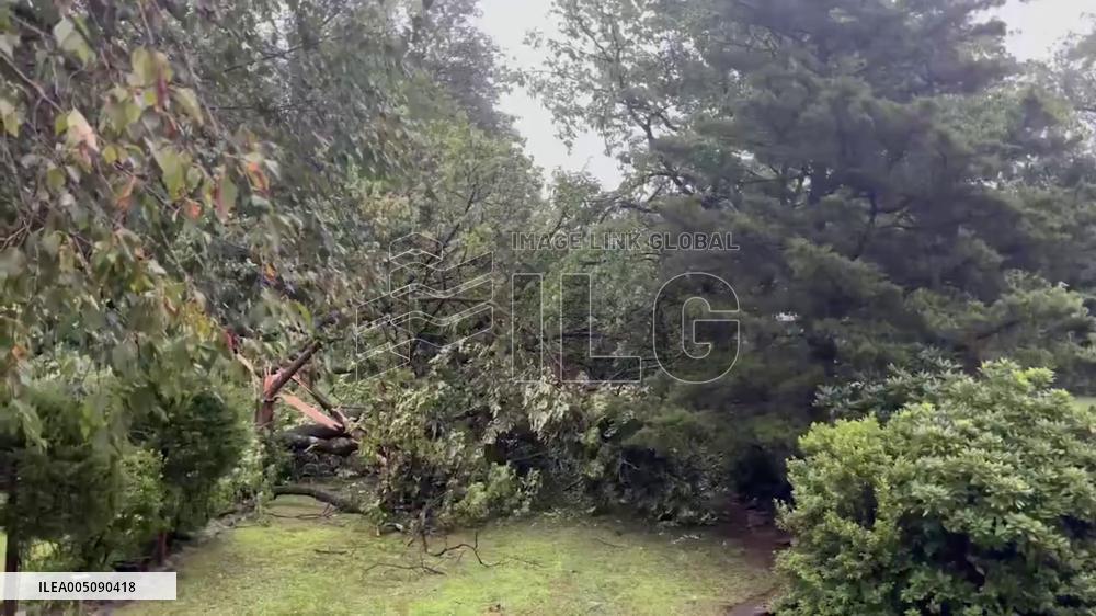 US: Severe Thunderstorms Bring Strong Wind, Knocking Down Trees in New Jersey