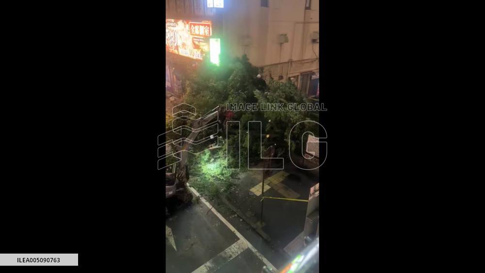Japan: Typhoon Chan-hom Topples Trees Across Tochigi Prefecture
