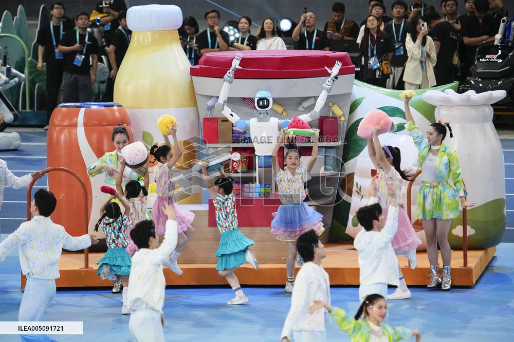 World Humanoid Robot Games in Beijing