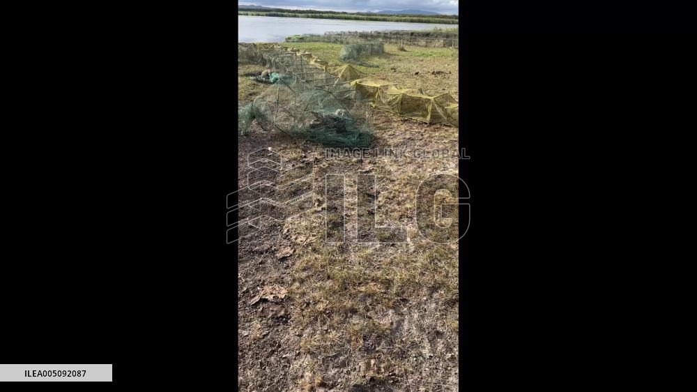 China: Man Rescues Owl Trapped in Fishing Net