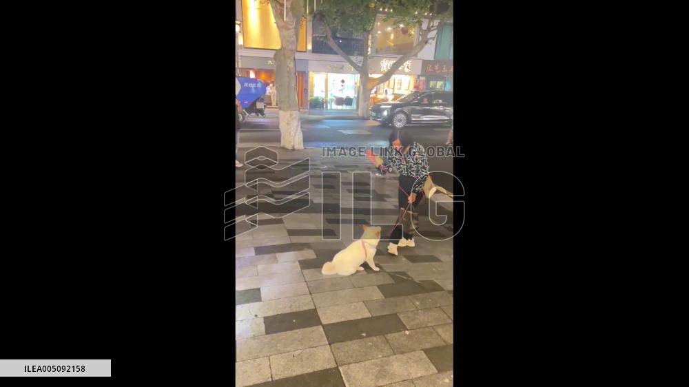 China: Dog Refuses to Leave Yogurt Shop in Suzhou