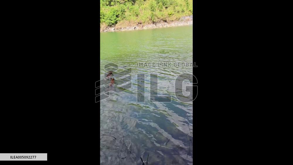 China: Two Dogs Team up to Catch Snake in Lake