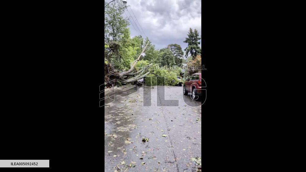 Canada: Severe Storm Downs Trees Across Toronto Streets