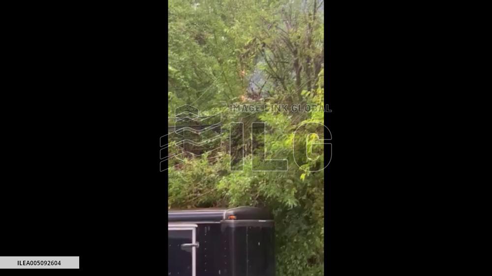 US: Downed Tree Sparks Fire After Knocking Out Power Line During Michigan Storm