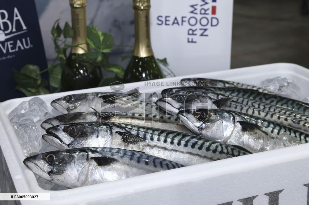 Norwegian mackerel