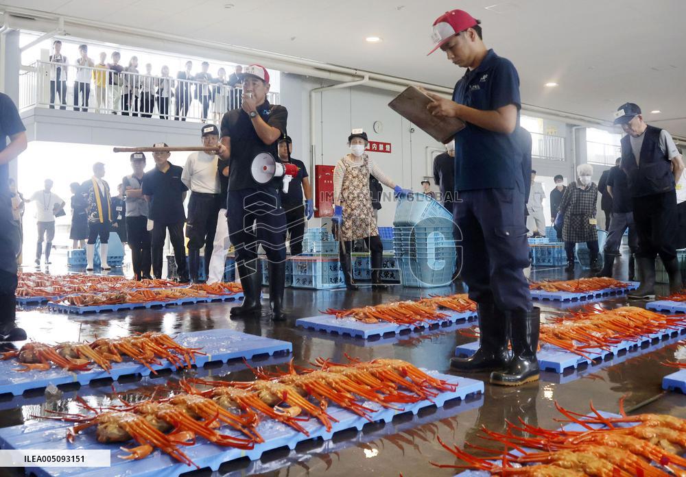 Red snow crab catch in central Japan