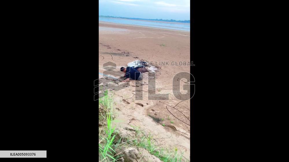 China: Daring Rescue Frees Horse Stuck in Mud