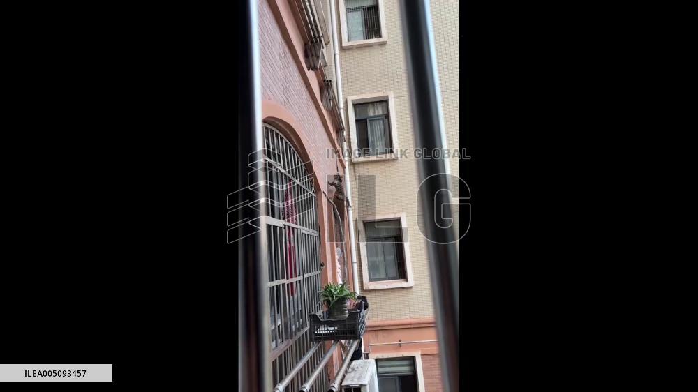 China: Residents Save Cat Left Hanging by Rope in Jiangxi