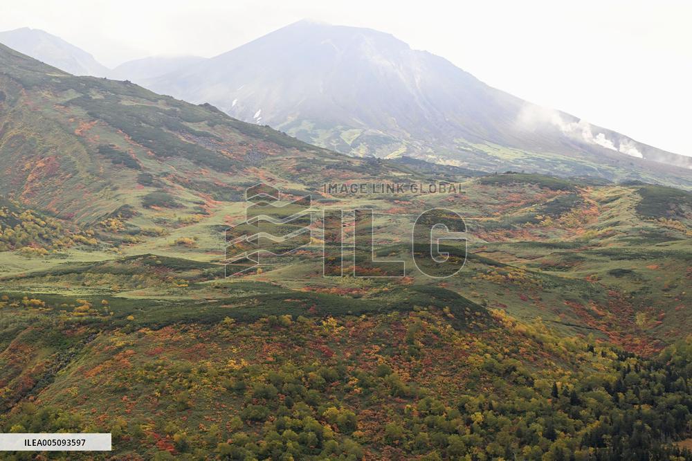 Autumn foliage on Mt. Asahidake in Hokkaido