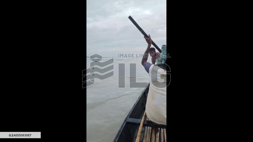 India: Elephant Calf Rescued from Teesta River by Fishermen